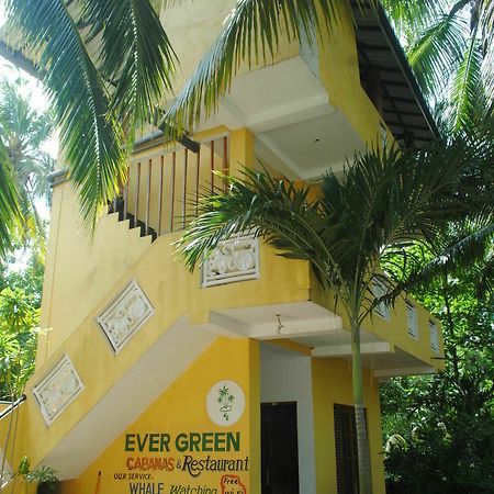 Ever Green Mirissa Ngoại thất bức ảnh
