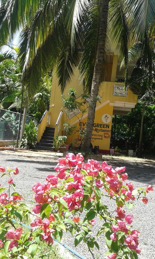 Ever Green Mirissa Ngoại thất bức ảnh