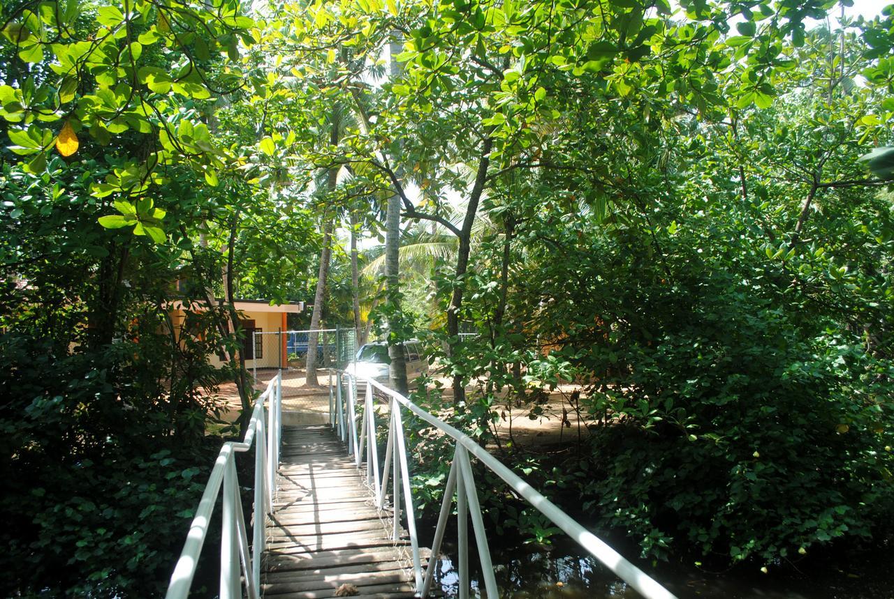 Ever Green Mirissa Ngoại thất bức ảnh
