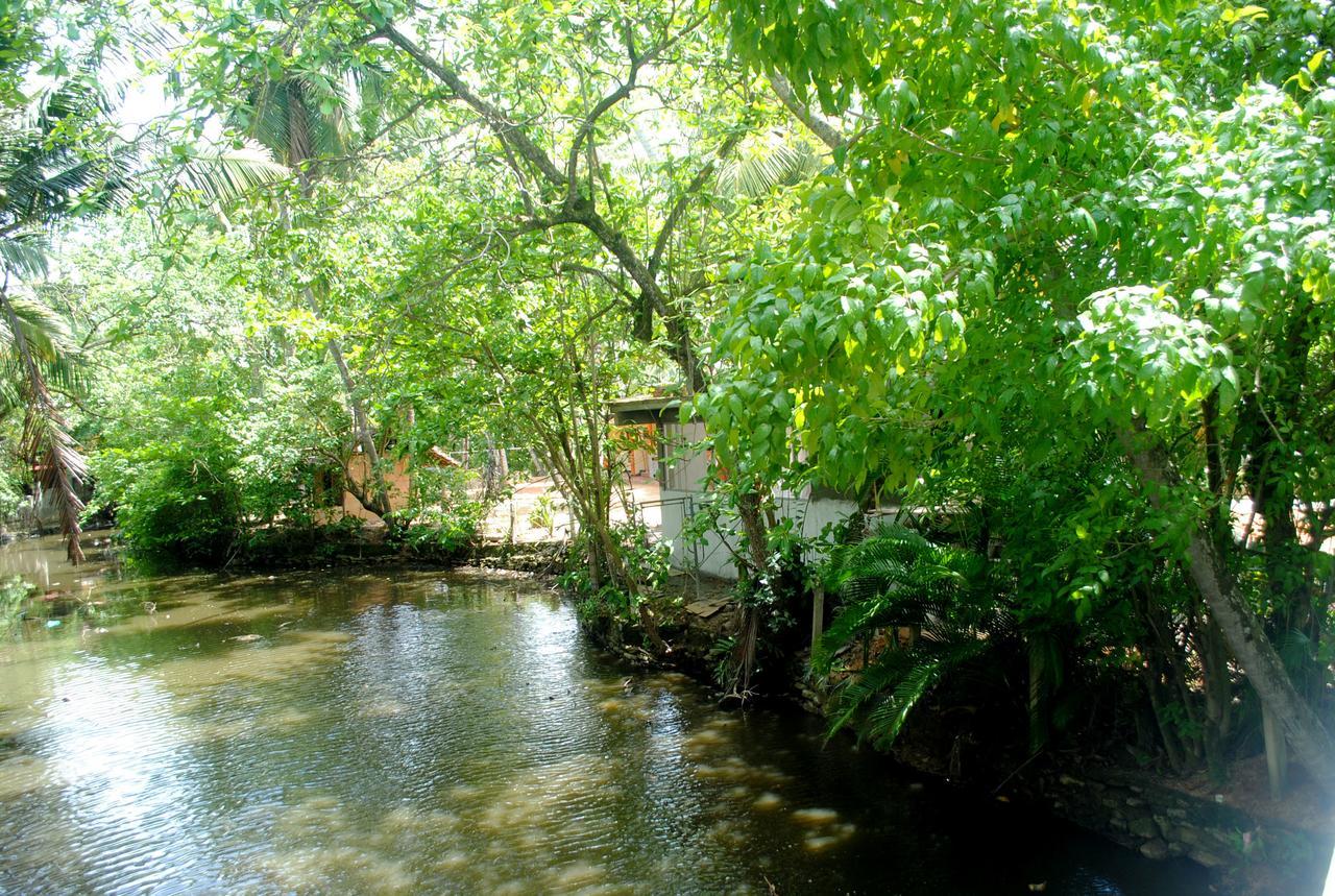 Ever Green Mirissa Ngoại thất bức ảnh