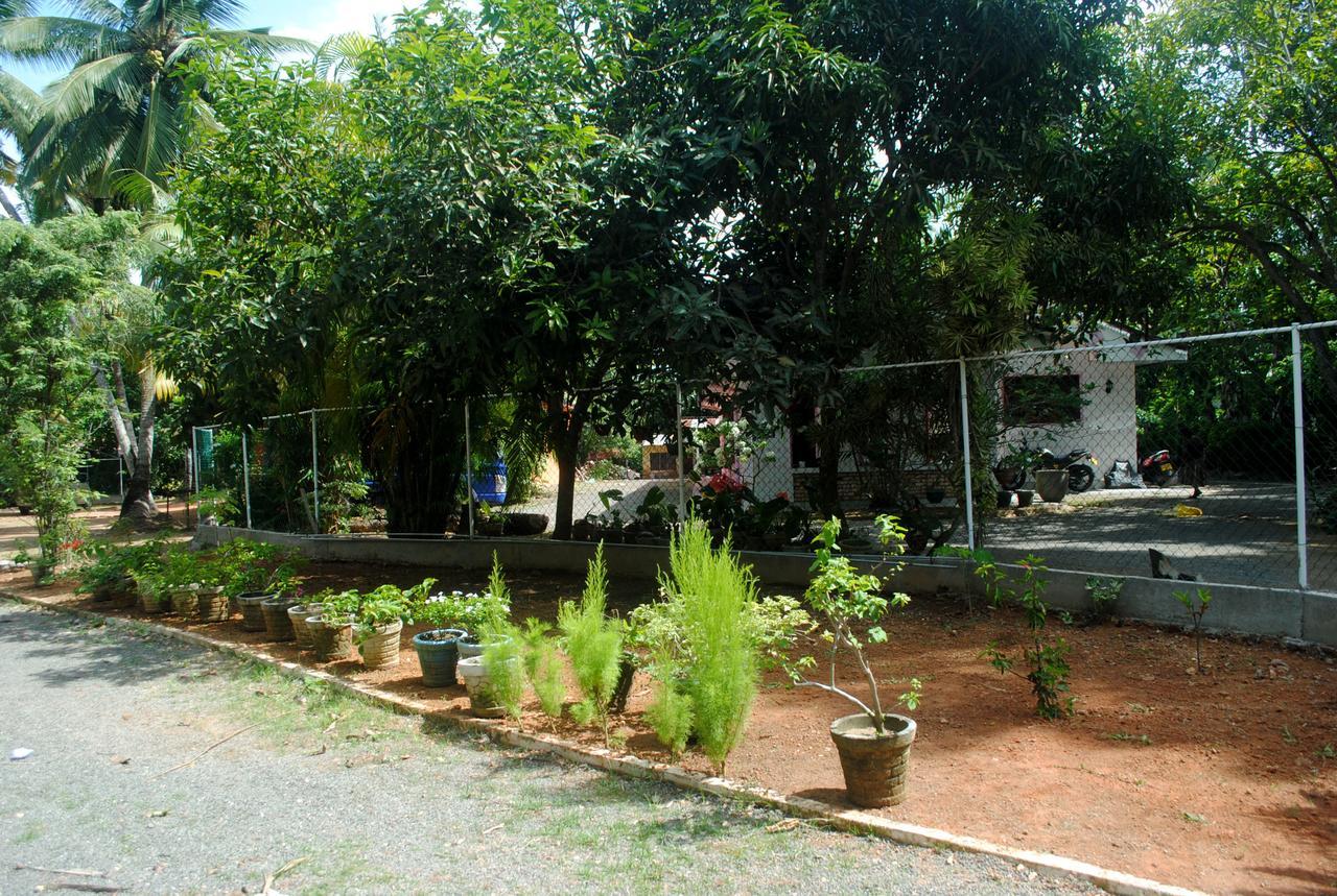 Ever Green Mirissa Ngoại thất bức ảnh