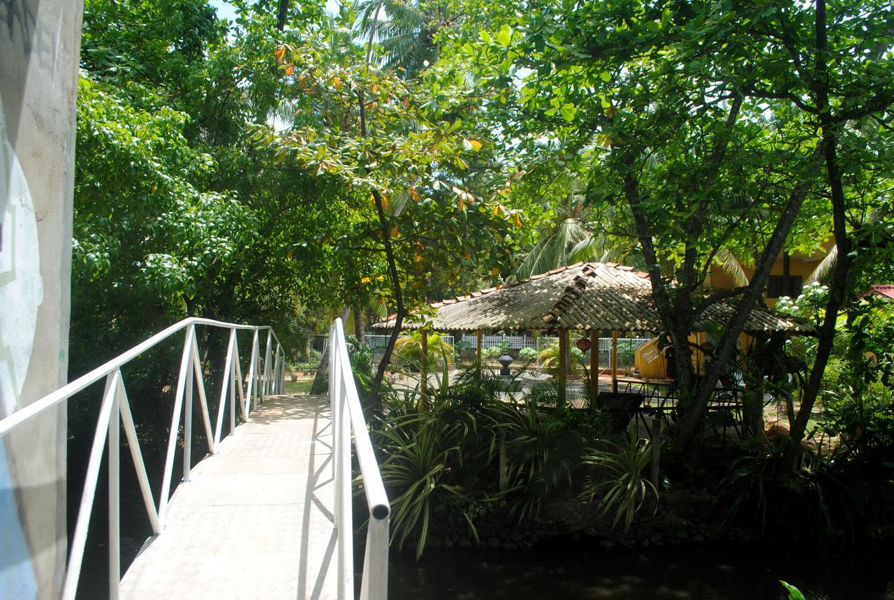 Ever Green Mirissa Ngoại thất bức ảnh
