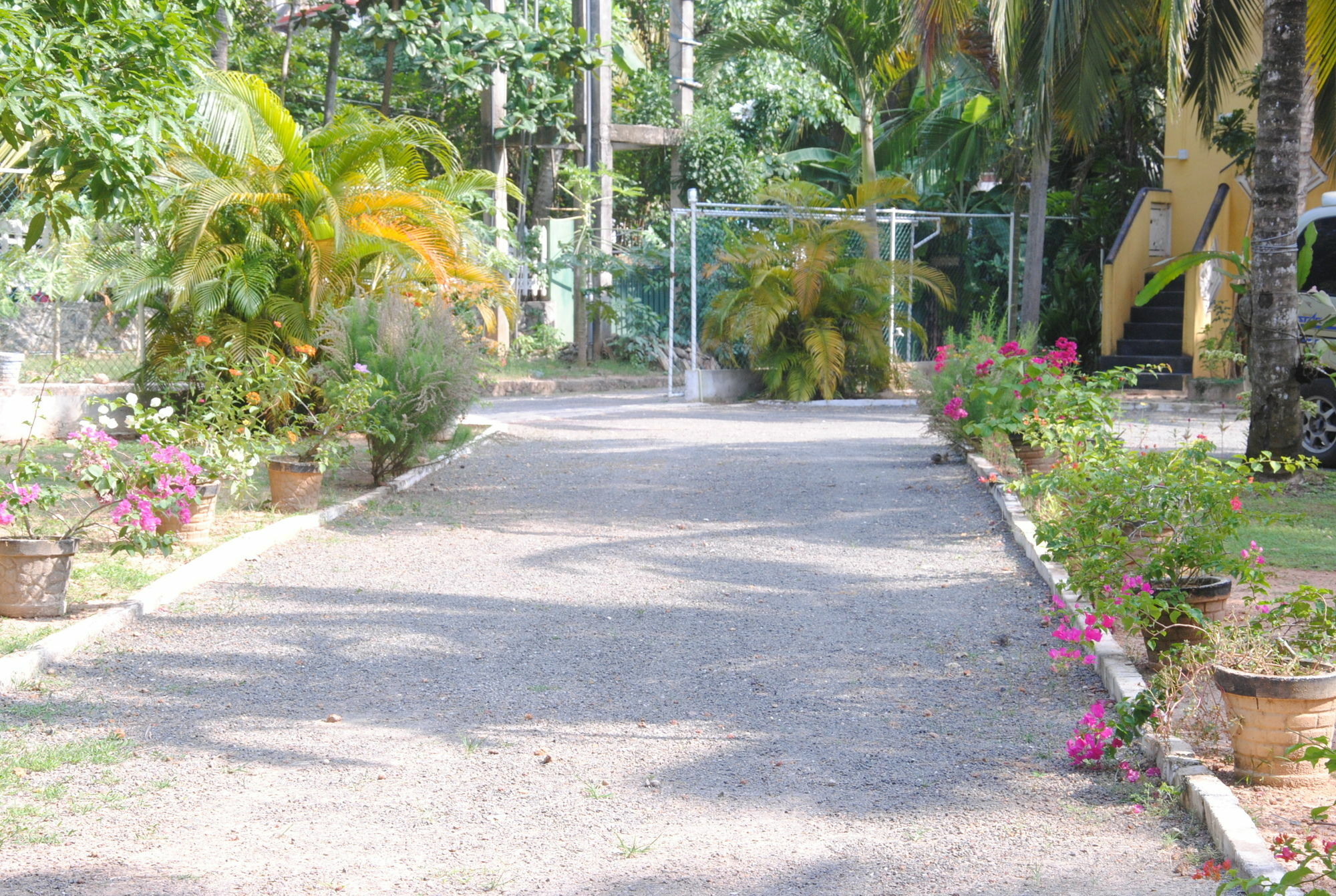 Ever Green Mirissa Ngoại thất bức ảnh