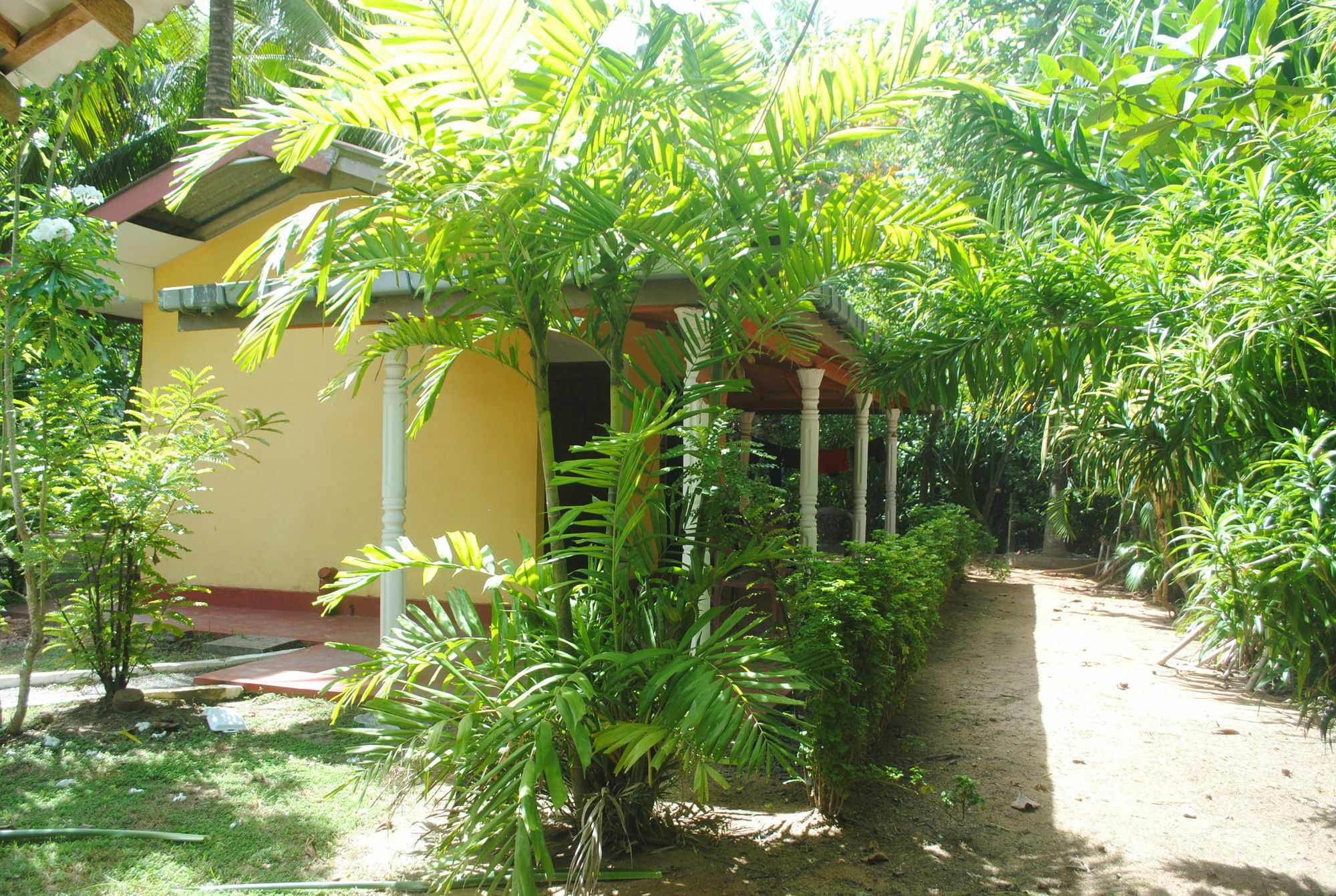 Ever Green Mirissa Ngoại thất bức ảnh
